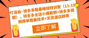 叮当会·拼多多粗暴赚钱特训营(11-19期),拼多多全店小爆款群+拼多多视频简单粗暴技术+无货源店群等|淘骐网赚资源库