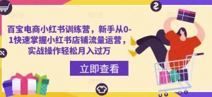百宝电商小红书训练营,新手从0-1快速掌握小红书店铺流量运营,实战操作轻松月入过万|淘骐网赚资源库