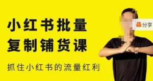 张宾·小红书批量复制铺货课,小红书0-1快速起号变现玩法,抓住小红书的流量红利(更新2023年3月)|淘骐网赚资源库