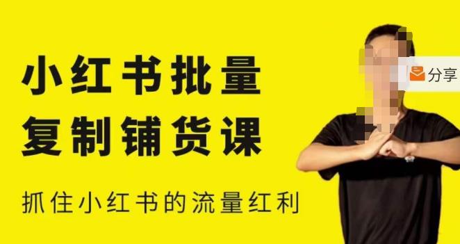 张宾·小红书批量复制铺货课,小红书0-1快速起号变现玩法,抓住小红书的流量红利(更新2023年3月)|淘骐网赚资源库