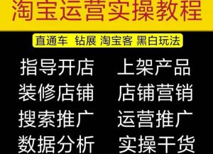 2023淘宝开店教程0基础到高级全套视频网店电商运营培训教学课程|淘骐网赚资源库