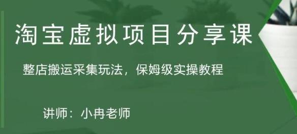 淘宝虚拟整店搬运采集玩法分享课:整店搬运采集玩法,保姆级实操教程|淘骐网赚资源库