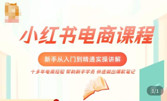 小红书电商新手入门到精通实操课,从入门到精通做爆款笔记,开店运营|淘骐网赚资源库