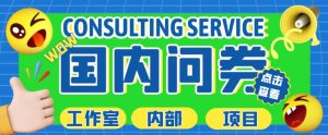 最新工作室内部国内问卷调查项目,单号轻松日入30+多号多撸【详细玩法教程】|淘骐网赚资源库