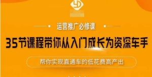 35节课程带你从入门成长为资深车手,让系统学习直通车成为可能,帮你实现直通车的低花费高产出|淘骐网赚资源库