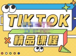 电商孵化中心·TikTok精品课程,教你玩转海外抖音,低成本创业,带您从0开始玩转TikTok|淘骐网赚资源库