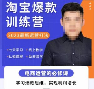 爱上黄昏·淘宝爆款训练营,2023最新运营打法,学习爆款思维,实现利润增长|淘骐网赚资源库