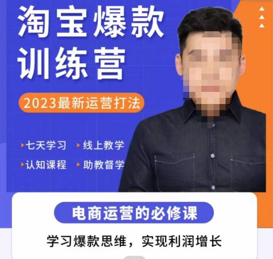 爱上黄昏·淘宝爆款训练营，2023最新运营打法，学习爆款思维，实现利润增长|淘骐网赚资源库