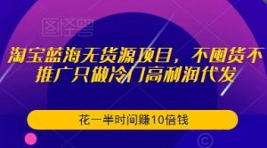 淘宝蓝海无货源项目,不囤货不推广只做冷门高利润代发,花一半时间赚10倍钱|淘骐网赚资源库