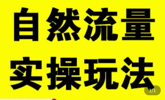 拼多多自然流量天花板,拼多多自然流的实操玩法,自然流量是怎么来的,如何开车带来自然流等知识|淘骐网赚资源库