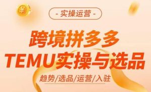 跨境拼多多TEMU实操与选品，​掌握平台运营方法技巧，选品避坑12条标准，爆款的底层思路等|淘骐网赚资源库