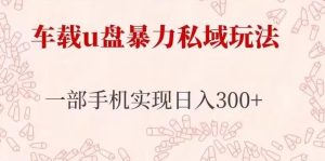 车载u盘暴力私域玩法,长期项目,仅需一部手机实现日入300+|淘骐网赚资源库
