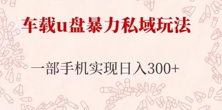 车载u盘暴力私域玩法,长期项目,仅需一部手机实现日入300+|淘骐网赚资源库