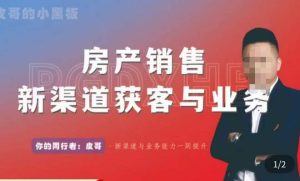 皮哥·房产销售新渠道获客与业务,打造新时代房产经纪达人,助力行业新人成长为业内精英|淘骐网赚资源库