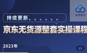 蓝七·2023京东店群整套实操视频教程，京东无货源整套操作流程大总结，减少信息差，有效做店发展|淘骐网赚资源库