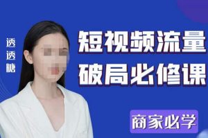 2023最新透糖短视频流量破局必修课——商家必学|淘骐网赚资源库