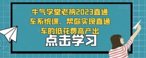 牛气学堂老衲2023直通车系统课,帮你实现直通车的低花费高产出|淘骐网赚资源库