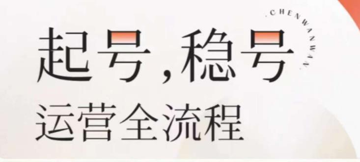 婉婉-起号稳号运营全流程，解决从小白到进阶所有运营知识，帮助解决账号所有运营难题|淘骐网赚资源库