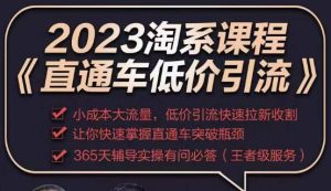 2023直通车低价引流玩法课程,小成本大流量,低价引流快速拉新收割,让你快速掌握直通车突破瓶颈|淘骐网赚资源库