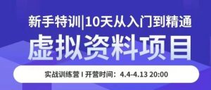 虚拟资料项目新手特训，10天从入门到精通，保姆级实操教学|淘骐网赚资源库