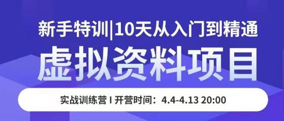 虚拟资料项目新手特训,10天从入门到精通,保姆级实操教学|淘骐网赚资源库