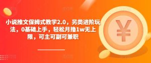 小说推文保姆式教学2.0，另类进阶玩法，0基础上手，轻松月撸1w无上限，可主可副可兼职|淘骐网赚资源库