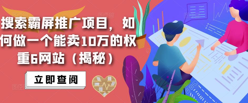 搜索霸屏推广项目,如何做一个能卖10万的权重6网站(揭秘)|淘骐网赚资源库