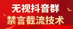 外面卖1500抖音粉丝群无视禁言截流技术，抖音黑科技，直接引流，0封号|淘骐网赚资源库