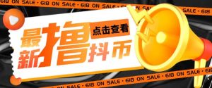 外面收费598的最新pdd无限白嫖抖币项目揭秘,简单暴利【仅揭秘】|淘骐网赚资源库