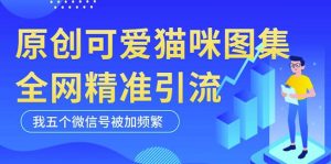 黑科技纯原创可爱猫咪图片,全网精准引流,实操5个VX号被加频繁|淘骐网赚资源库