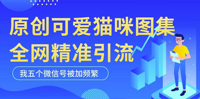 黑科技纯原创可爱猫咪图片,全网精准引流,实操5个VX号被加频繁|淘骐网赚资源库