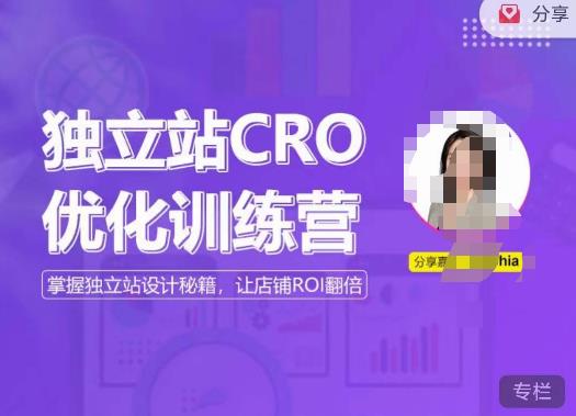 独立站CRO优化训练营,掌握独立站设计秘籍,打造高转化的独立站,让店铺ROI翻倍|淘骐网赚资源库