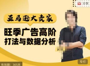 阿甘·亚马逊大卖家广告高阶打法与数据分析,走出传统广告误区;揭秘大卖惯用打法;数据驱动广告决策|淘骐网赚资源库