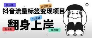 抖音流量标签变现项目,抖音创业粉轻松转化,单价高收益简单|淘骐网赚资源库