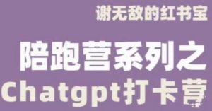 谢无敌ChatGPT打卡营,教你更好地使用ChatGPT来提高工作效率|淘骐网赚资源库
