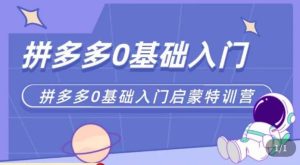 六一电商·拼多多运营0-1实操特训营,拼多多从基础到进阶的可实操玩法|淘骐网赚资源库