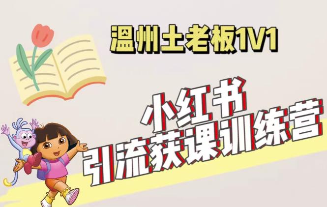 小红书1对1引流获客训练营:账号、内容、引流、成交(价值3999元)|淘骐网赚资源库