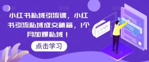 小红书私域引流课，小红书引流私域成交秘籍，1个月加爆私域！|淘骐网赚资源库