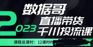 数据哥2023直播电商巨量千川付费投流实操课，快速掌握直播带货运营投放策略|淘骐网赚资源库