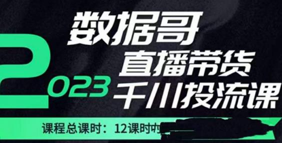数据哥2023直播电商巨量千川付费投流实操课,快速掌握直播带货运营投放策略|淘骐网赚资源库
