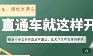 冠东·淘系直通车保姆级教程,全面讲解直通车就那么简单|淘骐网赚资源库