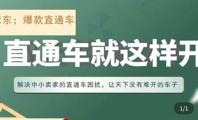 冠东·淘系直通车保姆级教程，全面讲解直通车就那么简单|淘骐网赚资源库