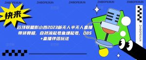 云顶联盟彭小四2023新无人半无人直播带货教程,自然流起号鱼塘起号,OBS+直播伴侣玩法|淘骐网赚资源库