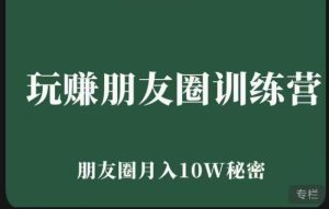 玩赚朋友圈系统课,朋友圈月入10W的秘密,7天系统图文课程|淘骐网赚资源库