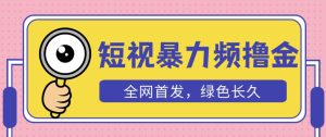 外面收费1680的短视频暴力撸金,日入300+长期可做,赠自动收款平台|淘骐网赚资源库