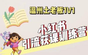 小红书1对1引流获客训练营:账号、内容、引流、成交(价值3999元)|淘骐网赚资源库