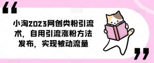 小淘2023网创类粉引流术,自用引流涨粉方法发布,实现被动流量|淘骐网赚资源库