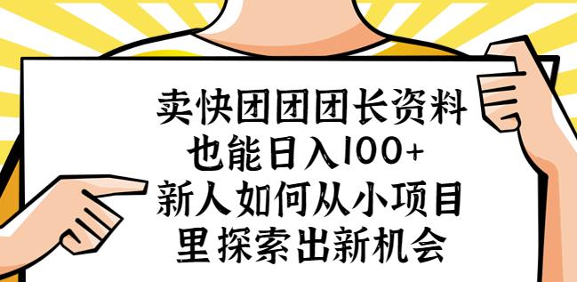 卖快团团团长资料也能日入100+新人如何从小项目里探索出新机会|淘骐网赚资源库