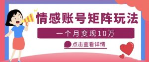 云天情感账号矩阵项目,简单操作,月入10万+可放大(教程+素材)|淘骐网赚资源库