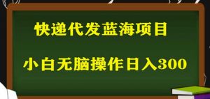 2023最新蓝海快递代发项目，小白零成本照抄也能日入300+|淘骐网赚资源库